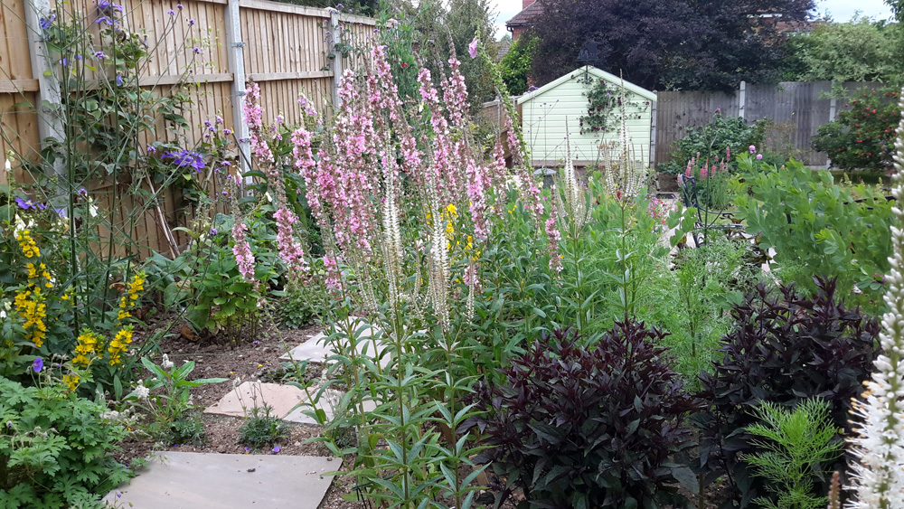 Everedge - Derby garden