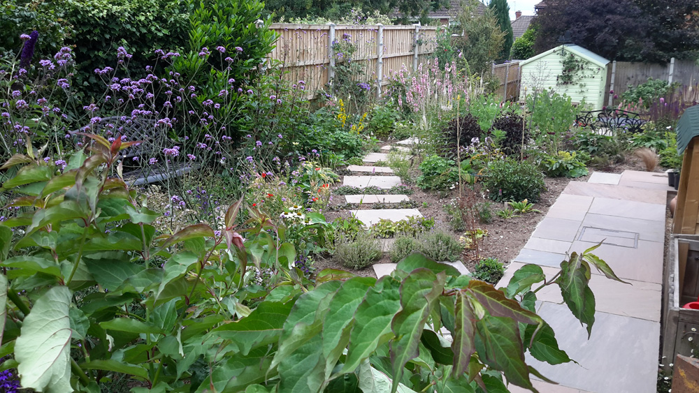 Everedge - Derby garden