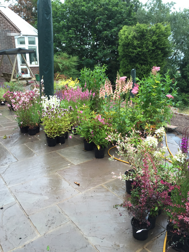 Everedge - Derby garden