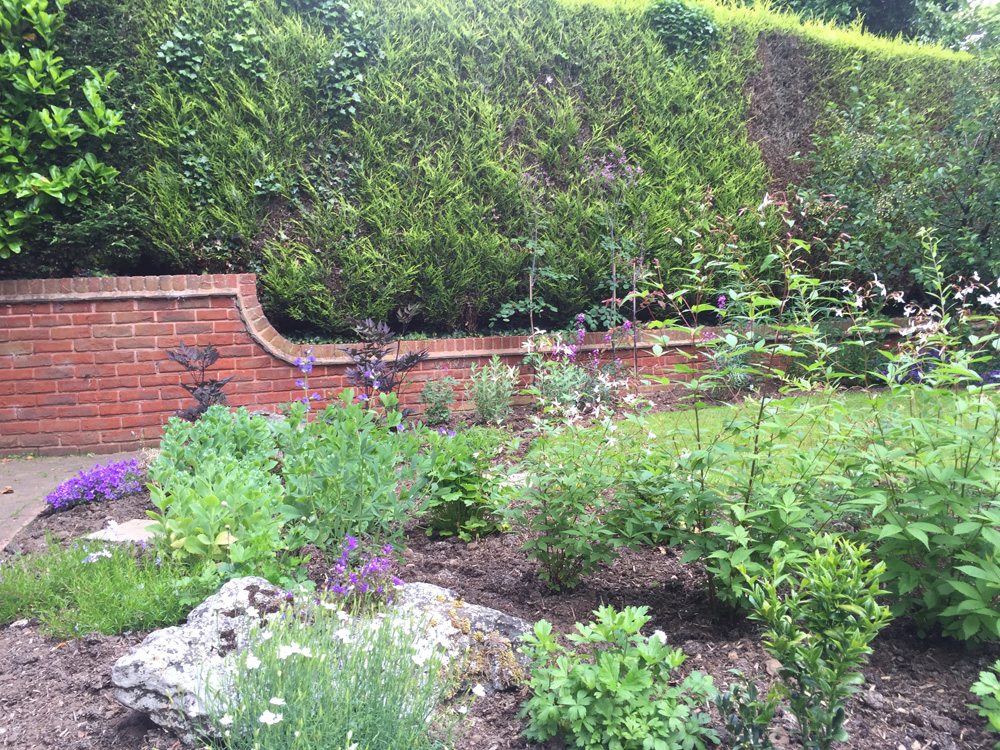 Everedge - Derby garden