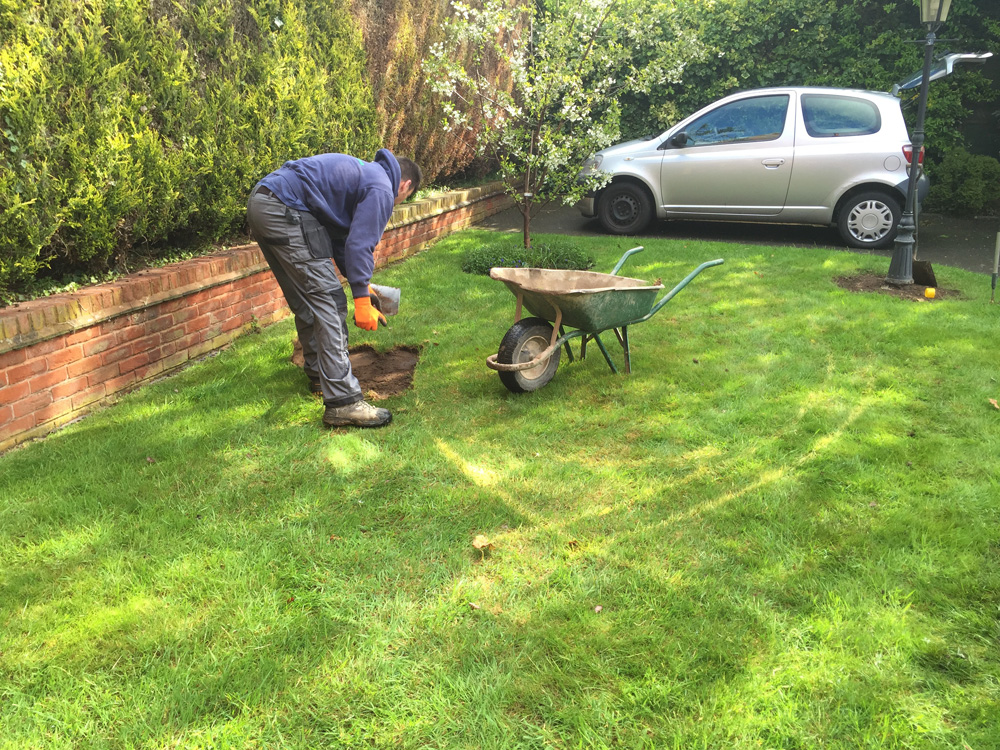 Everedge - Derby garden